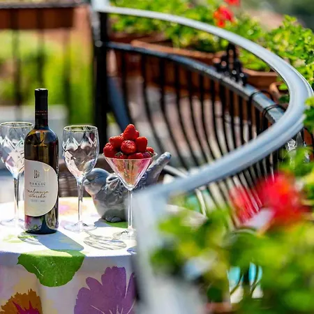 Srok With Pool Appartement Kastav