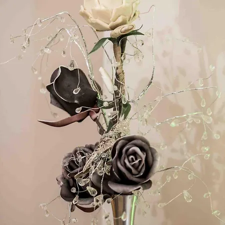 Apartment Srok With Pool *